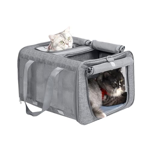 BEAUTYMONKEY.K Katzenkorb Transport für 2 Katzen,Katzentransportbox große für 2 Katzen,Transporttasche für Zwei Katzen, 53L x 44B x 33H cm von BEAUTYMONKEY.K