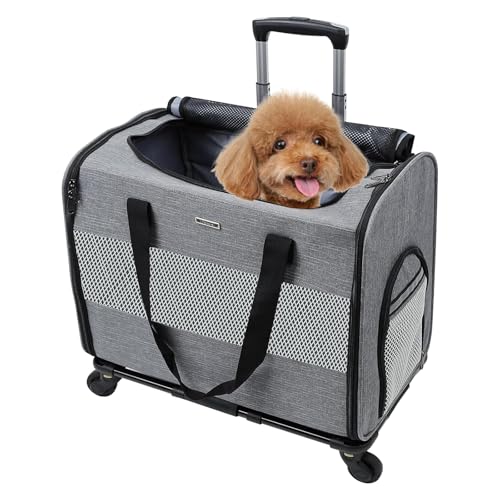 BEAUTYMONKEY.K Hundetransportbox mit Rollen für Klein Hunde, Haustiertransportbox mit Rollen für kleine Hunde und Katzen bis 10kg, Hundetasche mit Rollen Ideal für Chihuahua Schnauzer von BEAUTYMONKEY.K