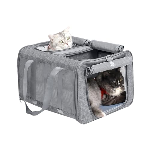 BEAUTYMONKEY.K Katzentransportbox große für 2 Katzen, Transporttasche Katzen Groß für 2 Katzen, 53L x 44B x 33H cm von BEAUTYMONKEY.K