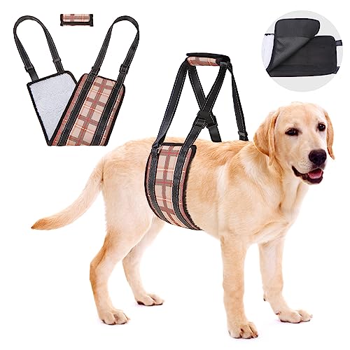 BEAUTYZOO Dog Lift Harness, Plaid Dog Sling for Small Medium Large Dogs Hind Leg Support, Dogs Lift Support and Reha Harness for Weak Rear Legs, Hip and ACL Brace for Eldery Dogs Beige L von BEAUTYZOO