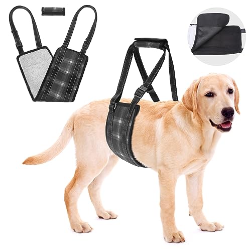 BEAUTYZOO Dog Lift Harness, Plaid Dog Sling for Small Medium Large Dogs Hind Leg Support, Dogs Lift Support and Reha Harness for Weak Rear Legs, Hip and ACL Brace for Eldery Dogs Black L von BEAUTYZOO