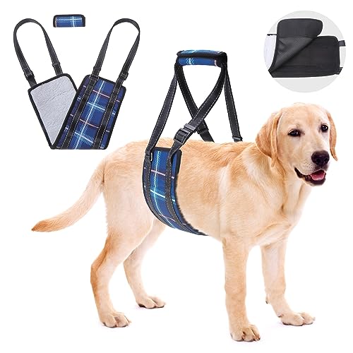 BEAUTYZOO Dog Lift Harness, Plaid Dog Sling for Small Medium Large Dogs Hind Leg Support, Dogs Lift Support and Reha Harness for Weak Rear Legs, Hip and ACL Brace for Eldery Dogs Blue L von BEAUTYZOO