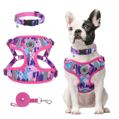 BEAUTYZOO Hundegeschirr, Halsband und Leine, kein Ziehen, Haustiergeschirr für kleine Hunde, verstellbar, kein Entkommen, Welpengeschirr, für draußen, Spazierengehen, Laufen, weiche reflektierende BEAUTYZOO Hundegeschirr, Halsband und Leine, kein Ziehen, Haustiergeschirr für kleine Hunde, verstellbar, kein Entkommen, Welpengeschirr, für draußen, Spazierengehen, Laufen, weiche reflektierende von BEAUTYZOO