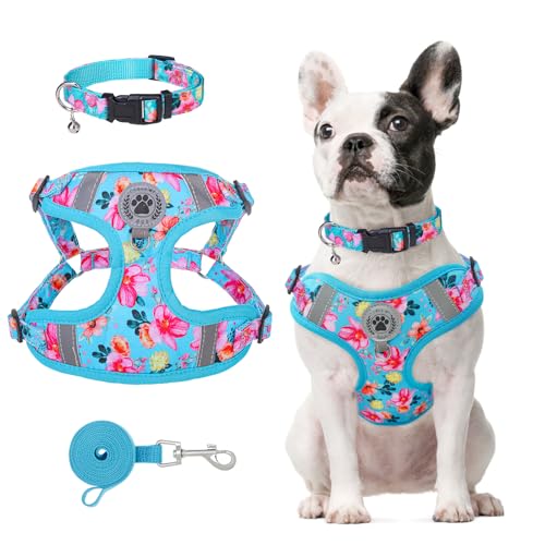 BEAUTYZOO Hundegeschirr, Halsband und Leine, kein Ziehen, Haustiergeschirr für kleine Hunde, verstellbar, kein Entkommen, Welpengeschirr, für draußen, Spazierengehen, Laufen, weiche reflektierende BEAUTYZOO Hundegeschirr, Halsband und Leine, kein Ziehen, Haustiergeschirr für kleine Hunde, verstellbar, kein Entkommen, Welpengeschirr, für draußen, Spazierengehen, Laufen, weiche reflektierende von BEAUTYZOO