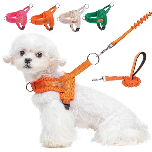BEAUTYZOO Hundegeschirr für kleine Hunde, kein Ziehen, Hundegeschirr und Leine, weich, ausbruchsicher, Welpengeschirr mit Griff, reflektierend, leicht, Step-in-Geschirr für Mädchen, Jungen, Orange, XS von BEAUTYZOO