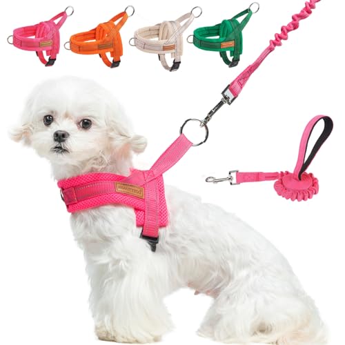 BEAUTYZOO Hundegeschirr für kleine Hunde, kein Ziehen, Hundegeschirr und Leine, weich, ausbruchsicher, Welpengeschirr mit Griff, reflektierend, leicht, Step-in-Geschirr für Mädchen, Jungen, Rosa, XS von BEAUTYZOO