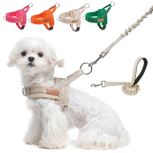 BEAUTYZOO Hundegeschirr für kleine Hunde, kein Ziehen, Hundegeschirr und Leine, weich, ausbruchsicher, Welpengeschirr mit Griff, reflektierend, leicht, Step-in-Geschirr für Mädchen, Jungen, max. 2,7 von BEAUTYZOO