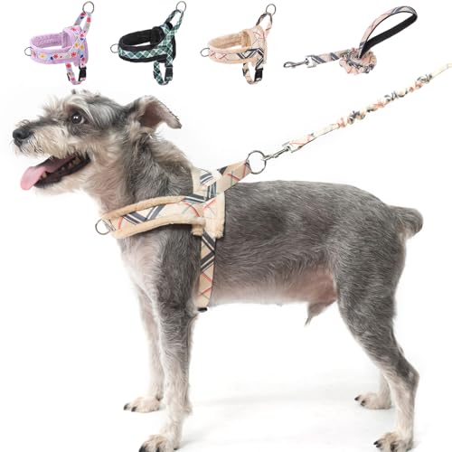 BEAUTYZOO Hundegeschirr und Leine, kein Ziehen, weiches Welpengeschirr mit Griff, ausbruchsicher und einfach zu laufen, leichtes Hundegeschirr, Wintergeschirr, Brustverstellbar, für Mädchen, Jungen, von BEAUTYZOO
