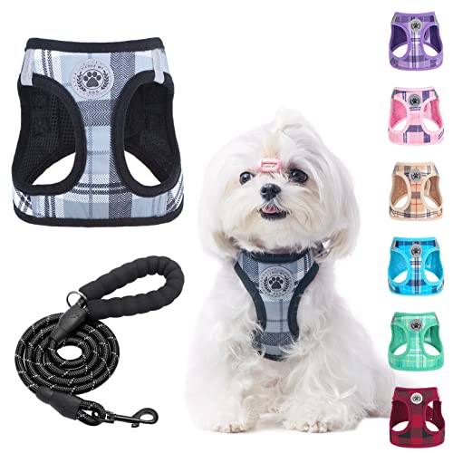 BEAUTYZOO Hundegeschirr und Leine, weiches Netzgewebe, reflektierend, für extra kleine und mittelgroße Welpen und Katzen, kariert, für XS/S, Grau, XS BEAUTYZOO Hundegeschirr und Leine, weiches Netzgewebe, reflektierend, für extra kleine und mittelgroße Welpen und Katzen, kariert, für XS/S, Grau, XS von BEAUTYZOO