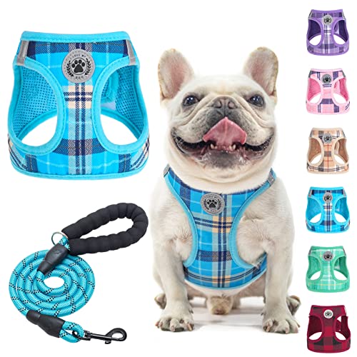 BEAUTYZOO Hundegeschirr und Leine, weiches Netzgewebe, reflektierend, für extra kleine und mittelgroße Welpen und Katzen, kariert, für XS / S, Blau, Größe M BEAUTYZOO Hundegeschirr und Leine, weiches Netzgewebe, reflektierend, für extra kleine und mittelgroße Welpen und Katzen, kariert, für XS / S, Blau, Größe M von BEAUTYZOO