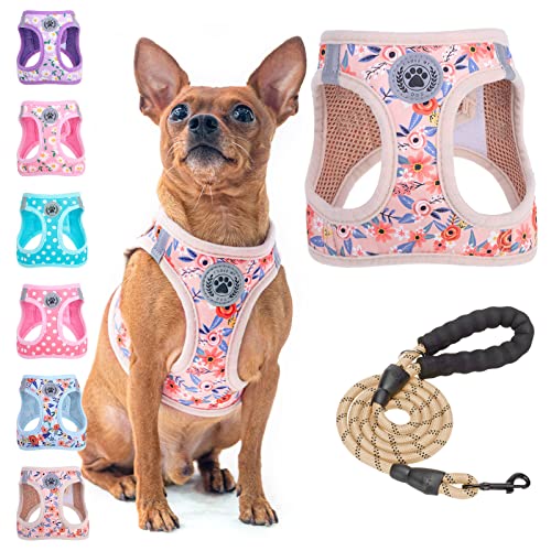 BEAUTYZOO Hundegeschirr zum Reinschlüpfen mit Leine, reflektierend, kein Ziehen, kein Würgen, für Welpen, Hunde, Katzen in den Größen XXS, XS, S, weich gepolstertes Netzgewebe, unisex, Blumenmuster von BEAUTYZOO