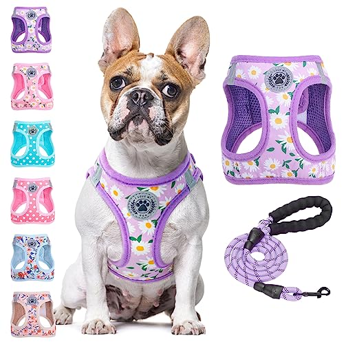 BEAUTYZOO Hundegeschirr zum Reinschlüpfen mit Leine, reflektierend, kein Ziehen, kein Würgen, für Welpen, kleine, mittlere, große Hunde, Katzen, weich gepolstertes Netzgewebe, unisex, Blumenmuster BEAUTYZOO Hundegeschirr zum Reinschlüpfen mit Leine, reflektierend, kein Ziehen, kein Würgen, für Welpen, kleine, mittlere, große Hunde, Katzen, weich gepolstertes Netzgewebe, unisex, Blumenmuster von BEAUTYZOO