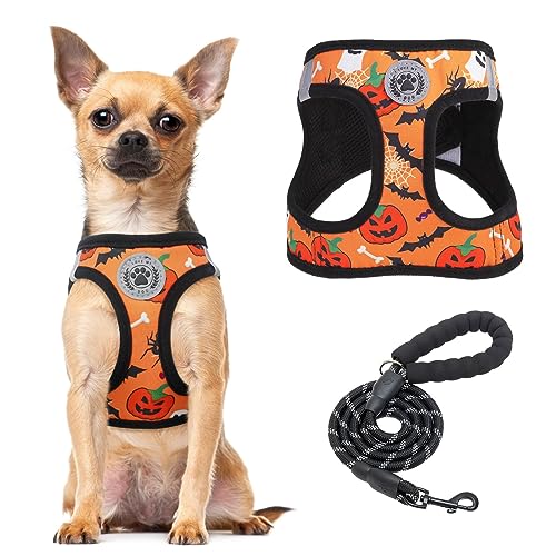 BEAUTYZOO Hundegeschirr zum Reinschlüpfen mit Leine, reflektierend, kein Ziehen, kein Würgen, für Welpen, kleine Hunde und Katzen, weich gepolstertes Netzgewebe, unisex, Halloween, Größe XS von BEAUTYZOO