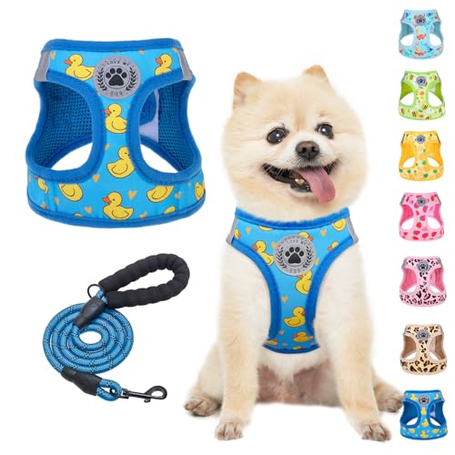 BEAUTYZOO Hundegeschirr zum Reinschlüpfen mit Leine, reflektierend, kein Ziehen oder Würgen, Welpen, kleine, mittlere, große Hunde, Katzen, weich gepolstert, Netzgewebe, unisex, Enten/Blau, Größe S BEAUTYZOO Hundegeschirr zum Reinschlüpfen mit Leine, reflektierend, kein Ziehen oder Würgen, Welpen, kleine, mittlere, große Hunde, Katzen, weich gepolstert, Netzgewebe, unisex, Enten/Blau, Größe S von BEAUTYZOO