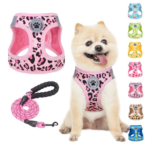 BEAUTYZOO Hundegeschirr zum Reinschlüpfen mit Leine, reflektierend, kein Ziehen oder Würgen, Welpen, kleine, mittlere, große Hunde, Katzen, weich gepolstert, Netzgewebe, unisex, Leopard/Rosa, Größe S BEAUTYZOO Hundegeschirr zum Reinschlüpfen mit Leine, reflektierend, kein Ziehen oder Würgen, Welpen, kleine, mittlere, große Hunde, Katzen, weich gepolstert, Netzgewebe, unisex, Leopard/Rosa, Größe S von BEAUTYZOO