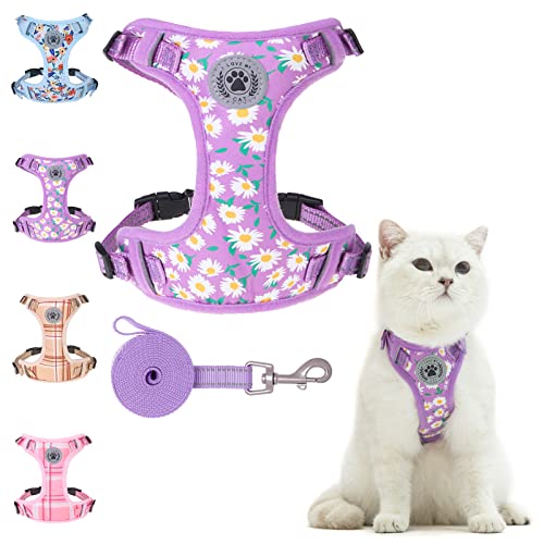 BEAUTYZOO Katzengeschirr und Leine, Set zum Spazierengehen, ausbruchsicher, Halsfreigabe, verstellbares Geschirr für Kätzchen, Welpen, kleine, kleines Katzengeschirr für Katzen, Jungen und Mädchen BEAUTYZOO Katzengeschirr und Leine, Set zum Spazierengehen, ausbruchsicher, Halsfreigabe, verstellbares Geschirr für Kätzchen, Welpen, kleine, kleines Katzengeschirr für Katzen, Jungen und Mädchen von BEAUTYZOO