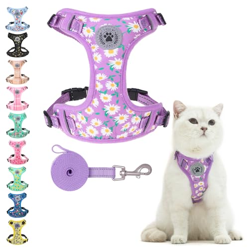 BEAUTYZOO Katzengeschirr und Leine, Set zum Spazierengehen, ausbruchsicher, Halsfreigabe, verstellbares Geschirr für Kätzchen, Welpen, kleine, kleines Katzengeschirr für Katzen, Jungen und Mädchen BEAUTYZOO Katzengeschirr und Leine, Set zum Spazierengehen, ausbruchsicher, Halsfreigabe, verstellbares Geschirr für Kätzchen, Welpen, kleine, kleines Katzengeschirr für Katzen, Jungen und Mädchen von BEAUTYZOO