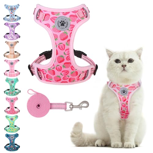 BEAUTYZOO Katzengeschirr und Leine, Set zum Spazierengehen, ausbruchsicher, Nackenöffnung, verstellbares Geschirr für Kätzchen, Welpen, kleine, mittelgroße und große Katzen, weich, niedlich, leicht zu BEAUTYZOO Katzengeschirr und Leine, Set zum Spazierengehen, ausbruchsicher, Nackenöffnung, verstellbares Geschirr für Kätzchen, Welpen, kleine, mittelgroße und große Katzen, weich, niedlich, leicht zu von BEAUTYZOO
