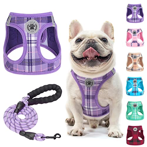 BEAUTYZOO Kleines Hundegeschirr und Leine, Set, kein Ersticken, kein Ziehen, weiches Netz-Hundegeschirr, reflektierend, mittelgroße Welpenhunde und Katzen, kariertes Hundegeschirr für XS S BEAUTYZOO Kleines Hundegeschirr und Leine, Set, kein Ersticken, kein Ziehen, weiches Netz-Hundegeschirr, reflektierend, mittelgroße Welpenhunde und Katzen, kariertes Hundegeschirr für XS S von BEAUTYZOO
