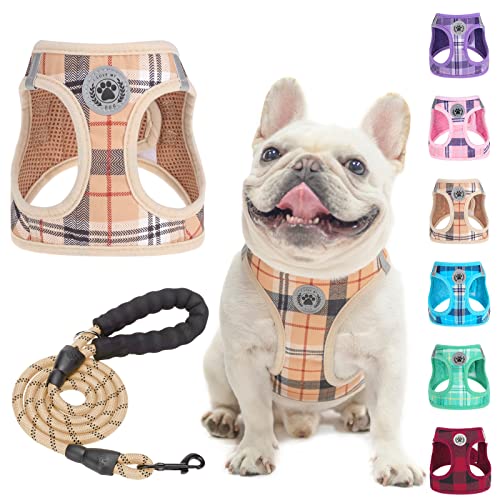 BEAUTYZOO Kleines Hundegeschirr und Leine, Set, kein Ersticken, kein Ziehen, weiches Netz-Hundegeschirr, reflektierend für extra kleine/kleine, kariertes Hundegeschirr für XS S Haustiere (Beige, M) von BEAUTYZOO