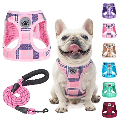 BEAUTYZOO Kleines Hundegeschirr und Leine, Set, kein Ersticken, kein Ziehen, weiches Netz-Hundegeschirr, reflektierend für extra kleine/kleine, kariertes Hundegeschirr für XS S Haustiere (Rosa, M) von BEAUTYZOO