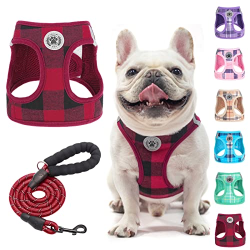 BEAUTYZOO Kleines Hundegeschirr und Leine, Step in No Chock No Pull Soft Mesh Hundegeschirr Reflektierend für extra kleine/kleine, Plaid Hundeweste Geschirr für XS S Haustiere, Rot M BEAUTYZOO Kleines Hundegeschirr und Leine, Step in No Chock No Pull Soft Mesh Hundegeschirr Reflektierend für extra kleine/kleine, Plaid Hundeweste Geschirr für XS S Haustiere, Rot M von BEAUTYZOO