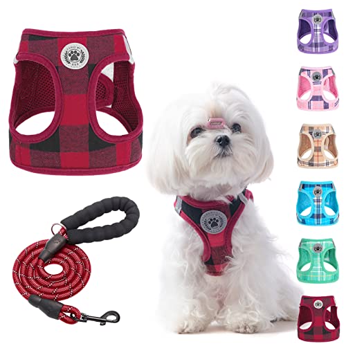BEAUTYZOO Kleines Hundegeschirr und Leine, Step in No Chock No Pull Soft Mesh Hundegeschirr Reflektierend für extra kleine/kleine mittelgroße Welpen Hunde und Katzen, Rot, XS BEAUTYZOO Kleines Hundegeschirr und Leine, Step in No Chock No Pull Soft Mesh Hundegeschirr Reflektierend für extra kleine/kleine mittelgroße Welpen Hunde und Katzen, Rot, XS von BEAUTYZOO