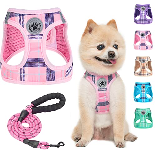 BEAUTYZOO Kleines Hundegeschirr und Leine Step in No Chock No Pull Soft Mesh Hundegeschirr Reflektierend für extrakleinekleine mittelgroße Welpen Hunde und Katzen, Plaid Hundeweste Geschirr für XS von BEAUTYZOO