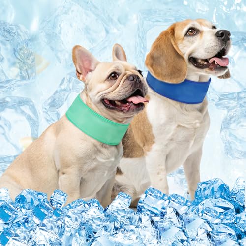 BEAUTYZOO Kühlendes Hundehalstuch, 2 Stück, sofortiges Chill-Out-Haustier-Schal für den Sommer und heißes Wetter, wiederverwendbar, kühlend, für den Innen- und Außenbereich, verstellbare Passform für von BEAUTYZOO