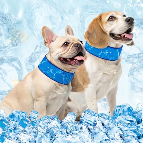 BEAUTYZOO Kühlendes Hundehalstuch, 2 Stück, sofortiges Chill-Out-Haustier-Schal für den Sommer und heißes Wetter, wiederverwendbar, kühlend, für den Innen- und Außenbereich, verstellbare Passform für von BEAUTYZOO