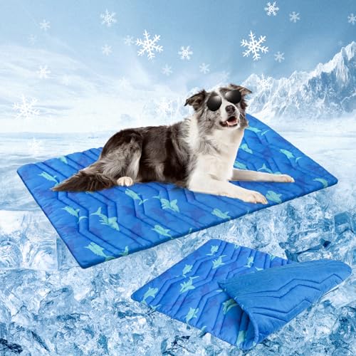BEAUTYZOO Kühlmatte für Hunde, extragroß, wendbar, selbstkühlende Matte für Hunde, dicke Haustier-Eiskühlmatte, Decke für Sommerhütte, Sofa, Bett, Boden, Autositz, maschinenwaschbar und faltbar, 121,9 BEAUTYZOO Kühlmatte für Hunde, extragroß, wendbar, selbstkühlende Matte für Hunde, dicke Haustier-Eiskühlmatte, Decke für Sommerhütte, Sofa, Bett, Boden, Autositz, maschinenwaschbar und faltbar, 121,9 von BEAUTYZOO