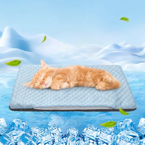 BEAUTYZOO Kühlmatte für Katzen, kleine Hunde, wendbar, Eisseide, kühlendes Kissen für den Sommer, kühles Bett für Kiste, Sofa, Boden, maschinenwaschbar und faltbar, 30 x 50 cm von BEAUTYZOO