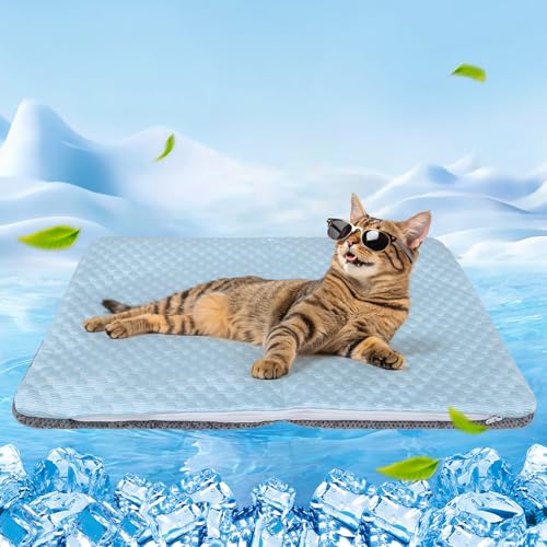 BEAUTYZOO Kühlmatte für Katzen, kleine Hunde, wendbar, Eisseide, kühles Bett für Kiste, Sofa, Boden, maschinenwaschbar und faltbar, 41,9 x 66 cm von BEAUTYZOO