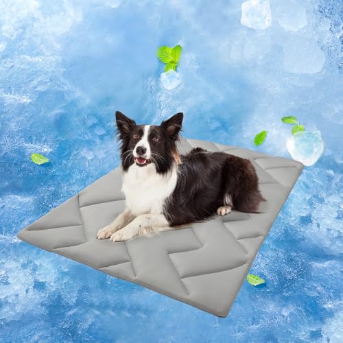 BEAUTYZOO Kühlmatte für mittelgroße Hunde, 91,4 x 58,4 cm, kühlendes Hundebett, waschbar, faltbares Eiskühlkissen für den Sommer, wendbar, für Hundehütte, Käfig, Sofa, Bett, Boden, Autositz, Grau, M von BEAUTYZOO
