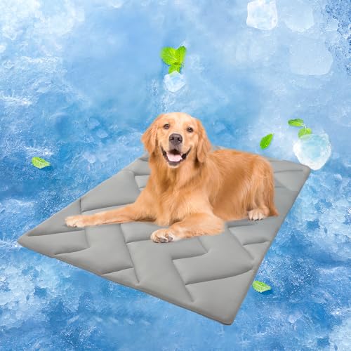 BEAUTYZOO Kühlmatte für mittelgroße Hunde, 91,4 x 58,4 cm, kühlendes Hundebett, waschbar, faltbares Eiskühlkissen für den Sommer, wendbar, für Hundehütte, Käfig, Sofa, Bett, Boden, Autositz, Grau, L BEAUTYZOO Kühlmatte für mittelgroße Hunde, 91,4 x 58,4 cm, kühlendes Hundebett, waschbar, faltbares Eiskühlkissen für den Sommer, wendbar, für Hundehütte, Käfig, Sofa, Bett, Boden, Autositz, Grau, L von BEAUTYZOO
