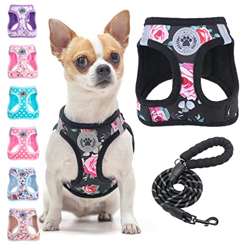 BEAUTYZOO Step in Dog Harness and Leash Set, Floral Pattern Reflective Dog Harness No Pull No Choke Puppy Harness for XXS XS S Dogs Cats, Soft Padded Mesh Vest Harnesses for Girl and Boy Pets von BEAUTYZOO