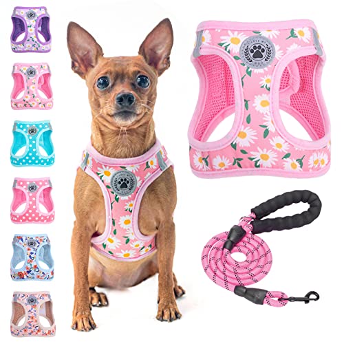 BEAUTYZOO Step in Dog Harness and Leash Set, Floral Pattern Reflective Dog Harness No Pull No Choke Puppy Harness for XXS XS S Dogs Cats, Soft Padded Mesh Vest Harnesses for Girl and Boy Pets BEAUTYZOO Step in Dog Harness and Leash Set, Floral Pattern Reflective Dog Harness No Pull No Choke Puppy Harness for XXS XS S Dogs Cats, Soft Padded Mesh Vest Harnesses for Girl and Boy Pets von BEAUTYZOO