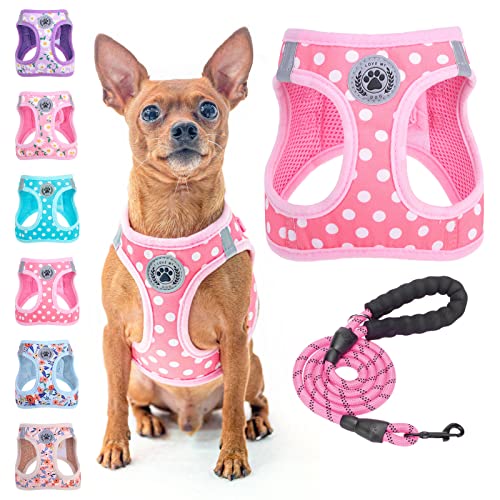 BEAUTYZOO Step in Dog Harness and Leash Set, Polka Dot Pattern Reflective Dog Harness No Pull No Choke Puppy Harness for XXS XS S Dogs Cats, Soft Padded Mesh Vest Harnesses for Girl and Boy Pets von BEAUTYZOO