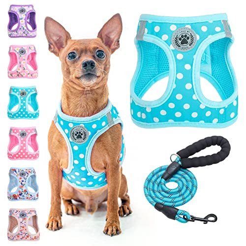 BEAUTYZOO Step in Dog Harness and Leash Set, Polka Dot Pattern Reflective Dog Harness No Pull No Choke Puppy Harness for XXS XS S Dogs Cats, Soft Padded Mesh Vest Harnesses for Girl and Boy Pets BEAUTYZOO Step in Dog Harness and Leash Set, Polka Dot Pattern Reflective Dog Harness No Pull No Choke Puppy Harness for XXS XS S Dogs Cats, Soft Padded Mesh Vest Harnesses for Girl and Boy Pets von BEAUTYZOO