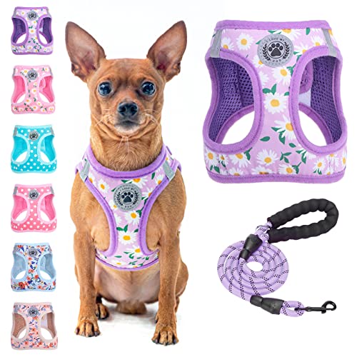 BEAUTYZOO Step in Hundegeschirr und Leine, Blumenmuster, reflektierend, kein Ziehen, kein Würgen, Welpengeschirr für XXS / XS / S, Hunde und Katzen, weich gepolstertes Netzgewebe, für Mädchen und BEAUTYZOO Step in Hundegeschirr und Leine, Blumenmuster, reflektierend, kein Ziehen, kein Würgen, Welpengeschirr für XXS / XS / S, Hunde und Katzen, weich gepolstertes Netzgewebe, für Mädchen und von BEAUTYZOO