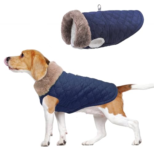 BEAUTYZOO Winter-Hundemantel mit integriertem Geschirr, warme Welpenjacke mit gepolstertem Fleece, kaltes Wetter, winddicht, wasserdicht, Schneejacke, Blau, Größe L BEAUTYZOO Winter-Hundemantel mit integriertem Geschirr, warme Welpenjacke mit gepolstertem Fleece, kaltes Wetter, winddicht, wasserdicht, Schneejacke, Blau, Größe L von BEAUTYZOO