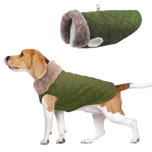 BEAUTYZOO Winter-Hundemantel mit integriertem Geschirr, warme Welpenpufferjacke, Weste, gepolsterter Fleece, kaltes Wetter, winddicht, wasserdicht, Schneejacke, Kleidung, Grün, Größe L BEAUTYZOO Winter-Hundemantel mit integriertem Geschirr, warme Welpenpufferjacke, Weste, gepolsterter Fleece, kaltes Wetter, winddicht, wasserdicht, Schneejacke, Kleidung, Grün, Größe L von BEAUTYZOO