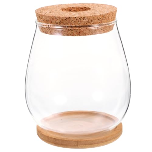 BEBEMOKO 1 Set Hydrokultur-Glasvase, künstliche Pflanze, Terrarium, Gartentopf, nachfüllbar, Parfümflasche, künstliche Blumen, Vasen, Pflanzen, Kugeln, Schale, Bewässerung im Freien, Anzuchtsystem, BEBEMOKO 1 Set Hydrokultur-Glasvase, künstliche Pflanze, Terrarium, Gartentopf, nachfüllbar, Parfümflasche, künstliche Blumen, Vasen, Pflanzen, Kugeln, Schale, Bewässerung im Freien, Anzuchtsystem, von BEBEMOKO