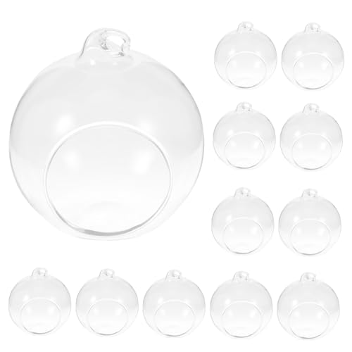 BEBEMOKO 12 Stück Mikrolandschaft Glasterrarium Hängende Sukkulenten Luftpflanzen-Terrarium Glaskugel Terrarium BEBEMOKO 12 Stück Mikrolandschaft Glasterrarium Hängende Sukkulenten Luftpflanzen-Terrarium Glaskugel Terrarium von BEBEMOKO