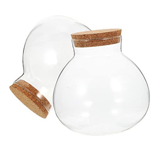 BEBEMOKO 2 Stück Sphärische Glasflasche für Terrarien Ökologische Flasche für Mooslandschaften ohne Beleuchtung zur Dekoration und Präsentation von Pflanzen und Blumen BEBEMOKO 2 Stück Sphärische Glasflasche für Terrarien Ökologische Flasche für Mooslandschaften ohne Beleuchtung zur Dekoration und Präsentation von Pflanzen und Blumen von BEBEMOKO