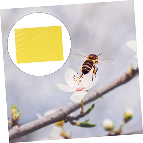 BEBEMOKO 30 Stück Bienenwachs Wabenbauplatten Beehive Foundation Sheet Bienenzucht Wachsplatten für Honigproduktion Langlebig und Praktisch von BEBEMOKO