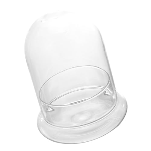BEBEMOKO Glasflasche DIY Pflanzen-Terrarium Mit Klarem Glasdom Ökologische Flasche Für Kreative Tischdekoration Geeignet Für Pflanzen Und Blumen Große Abdeckung Mit Kleinem von BEBEMOKO