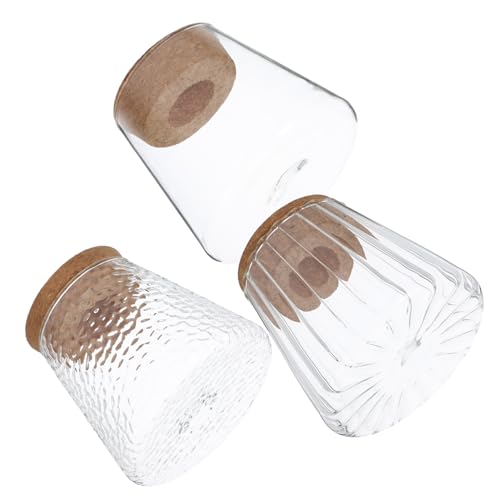 Hydrokultur-Flaschentöpfe, Pflanzen-Anzuchtstation, Anzuchtvasen für Avocado-Pflanzendekorationen, Pflanzen-Terrarium, Innenbereich, Gartenarbeit, Boho-, Glas, transparent, 3 Stück Hydrokultur-Flaschentöpfe, Pflanzen-Anzuchtstation, Anzuchtvasen für Avocado-Pflanzendekorationen, Pflanzen-Terrarium, Innenbereich, Gartenarbeit, Boho-, Glas, transparent, 3 Stück von BEBEMOKO