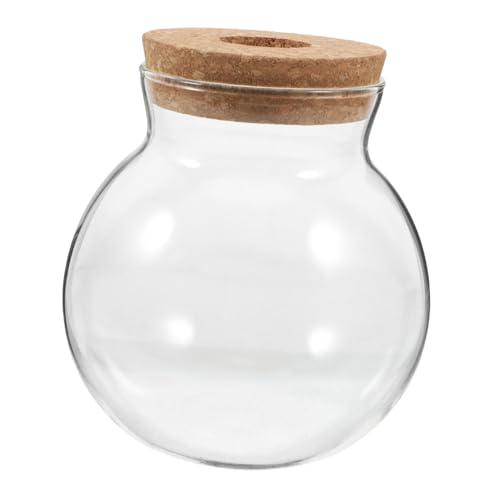 BEBEMOKO Mikro-Landschafts-Flasche, Mikro-Landschaft, Glas, Hydrokulturbehälter, Fischglas, Anzuchtvase, Sukkulenten, Terrarium, Desktop, Aquarium, Holz, transparent BEBEMOKO Mikro-Landschafts-Flasche, Mikro-Landschaft, Glas, Hydrokulturbehälter, Fischglas, Anzuchtvase, Sukkulenten, Terrarium, Desktop, Aquarium, Holz, transparent von BEBEMOKO