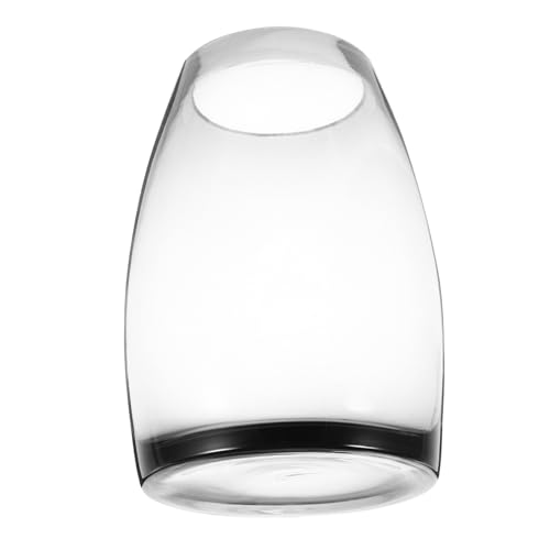 BEBEMOKO Mikro-Landschafts-Glasvase, Terrarienvasen, zartes Aquarium, Mikroglas-Pflanzflasche, Fischschale, Dekoration, Glas-Fischschale, Aquarium, transparent von BEBEMOKO